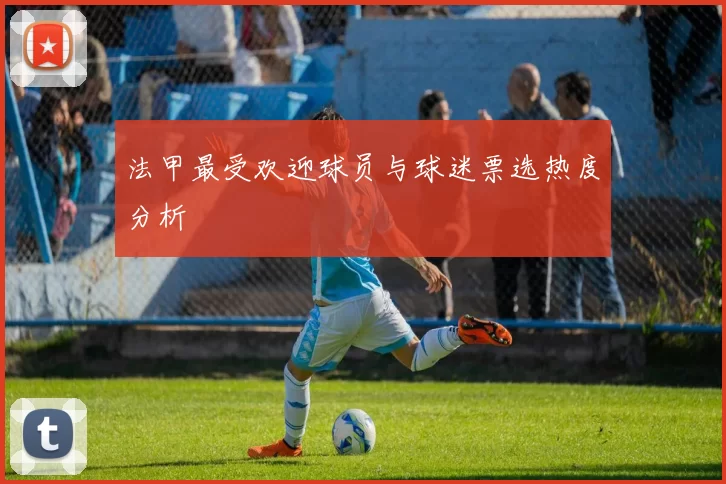 法甲最受欢迎球员与球迷票选热度分析