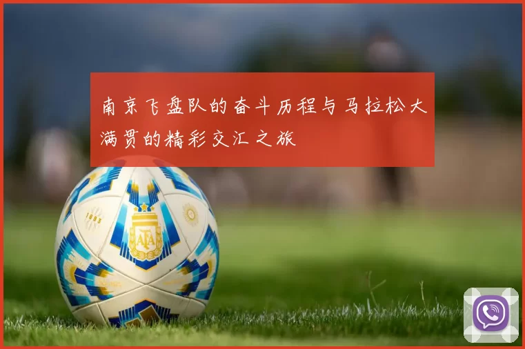 南京飞盘队的奋斗历程与马拉松大满贯的精彩交汇之旅