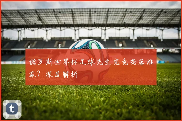 俄罗斯世界杯足球先生究竟花落谁家？深度解析