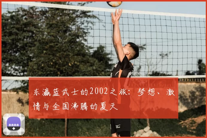 东瀛蓝武士的2002之旅：梦想、激情与全国沸腾的夏天