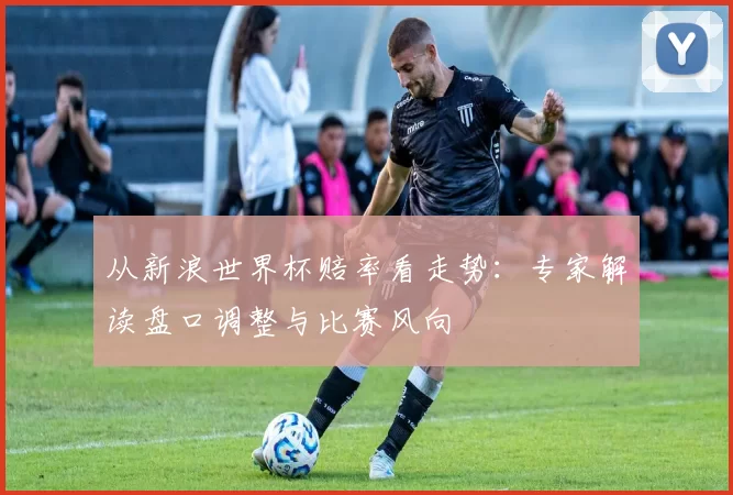 从新浪世界杯赔率看走势：专家解读盘口调整与比赛风向
