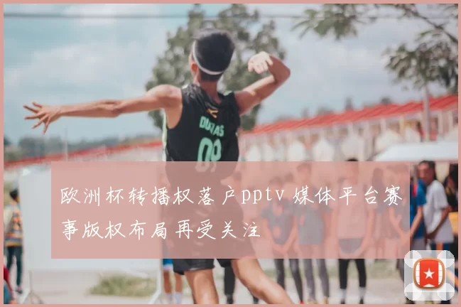 欧洲杯转播权落户pptv 媒体平台赛事版权布局再受关注