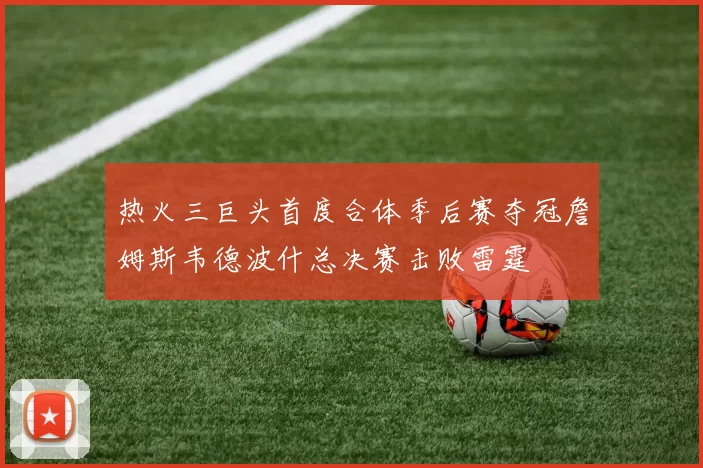 热火三巨头首度合体季后赛夺冠詹姆斯韦德波什总决赛击败雷霆
