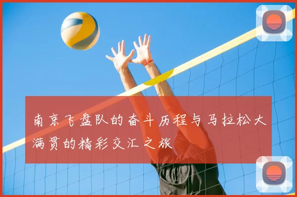 南京飞盘队的奋斗历程与马拉松大满贯的精彩交汇之旅