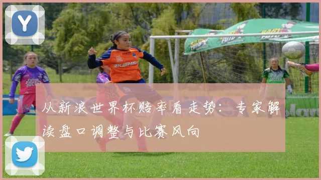 从新浪世界杯赔率看走势：专家解读盘口调整与比赛风向